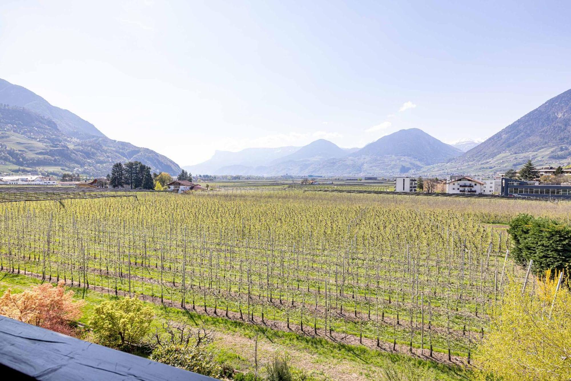 Residence Pollingerhof Merano Exteriör bild